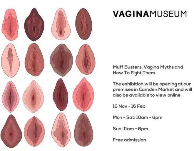 图片[2]-网友收集了性感撩人的白皙嫩妹的各种粉嫩户型，感觉“英国阴道博物馆”都没有收录过-Illusion中国官网 - i社游戏免费下载i社中国官网