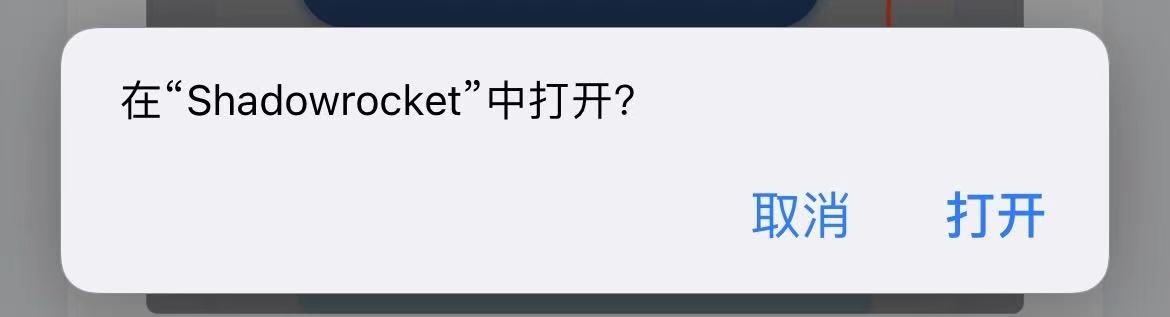 图片[3]-「iPhone/iPad」科学上网使用教程-Illusion中国官网 - i社游戏免费下载i社中国官网