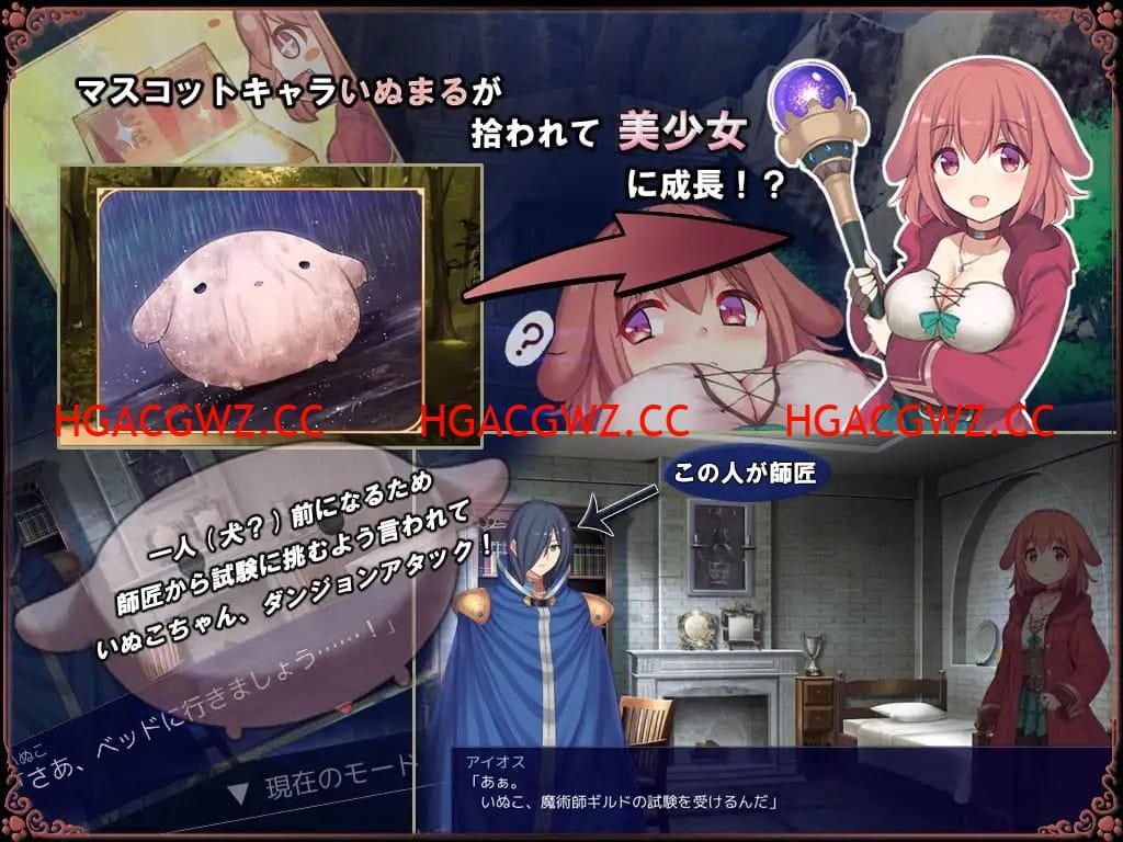 13100753791 13100753791