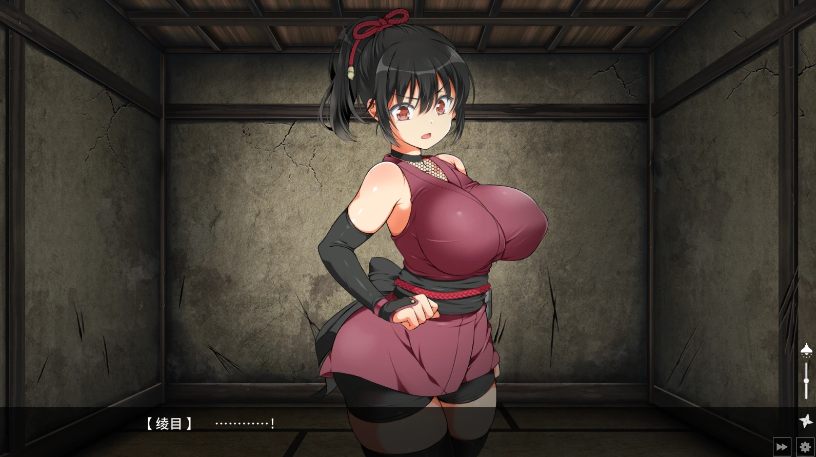 【大型/爆款/調教SLG/中文/極品全動态]忍堕－女忍調教 STEAM官方中文步兵版[全CV]【電腦/1.38G】-Illusion中国官网 - i社游戏免费下载i社中国官网